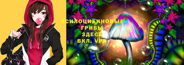 прущий лед Алзамай