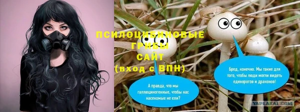 a pvp Алексин